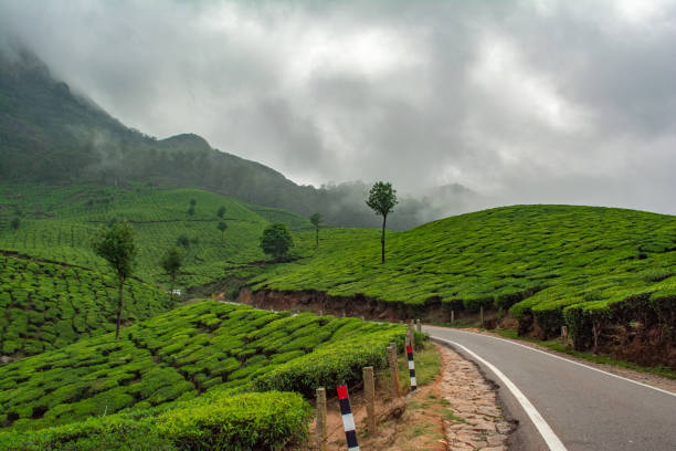 istock National Highway between Tea Plantation. 1270441863