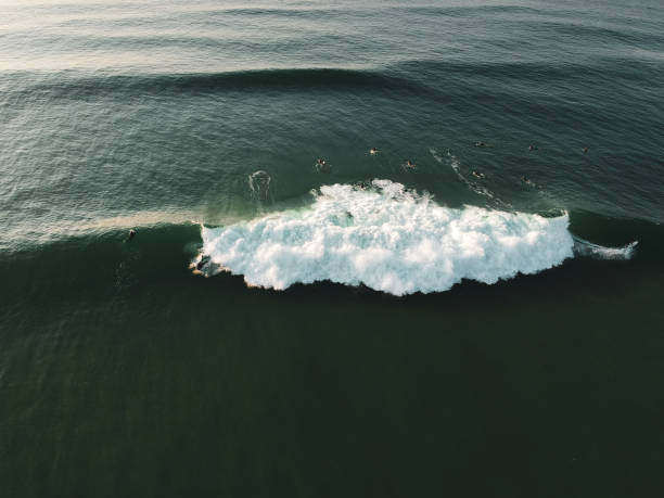 surferzy na fali z lotu ptaka - ericeira zdjęcia i obrazy z banku zdjęć