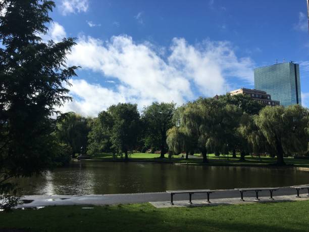 istock Blue skies over Frog Pond in Boston Common 1270443512