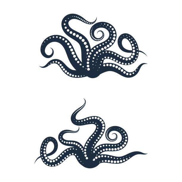 octopus vector icon illustration octopus vector icon illustration design template tentacle stock illustrations