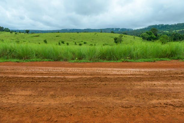 Dirt road with the meadow in countryside