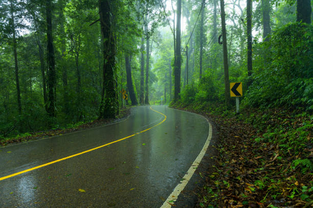 istock View asphalt road in the rainforest 1270447365