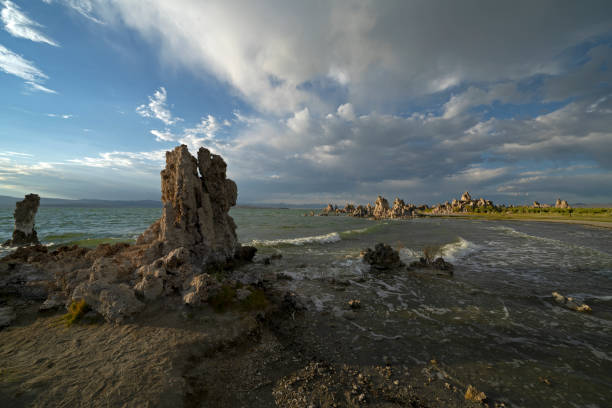 istock Along the Shoreline of Mono Lake 1270447671