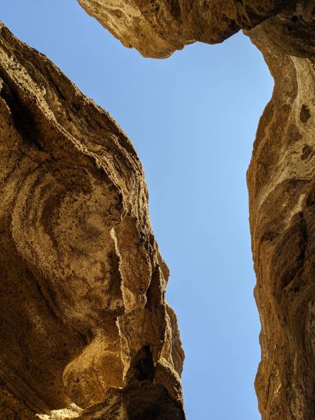 istock Looking up from Fissure 1270447684