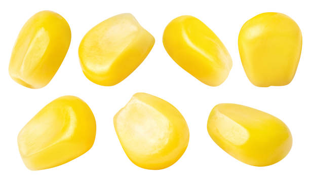 istock Set of tasty corn seeds on white 1270447866