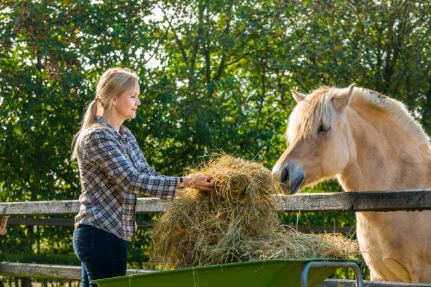 istock Woman feeding her horses 1270448587