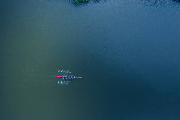 boat coxed four rowers rowing on the river aerial view - rowboat sport rowing team sports race imagens e fotografias de stock