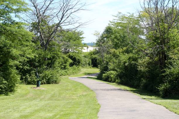istock Winding Walk in the Park 1270454847