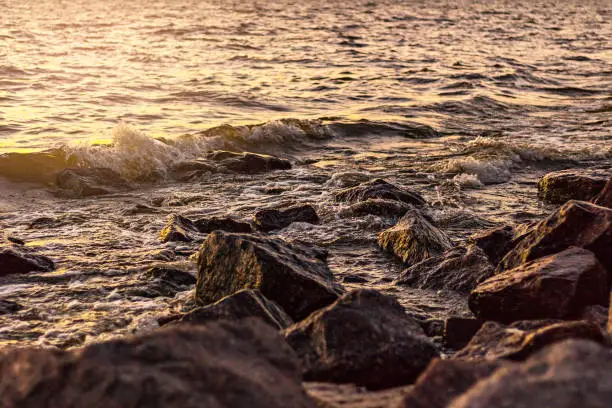 Photo of Rocky coast of the Gulf of Finland at sunset. Romantic evening. Summer