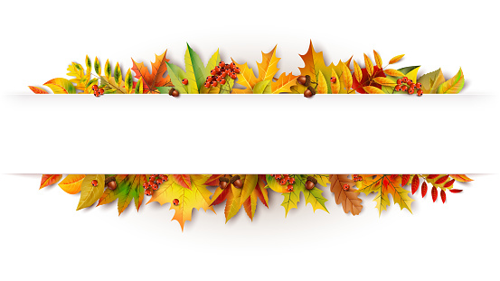 Autumn white banner decorated with fallen leaves