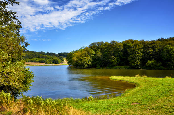istock Beauty sunny day on the lake 1270455472