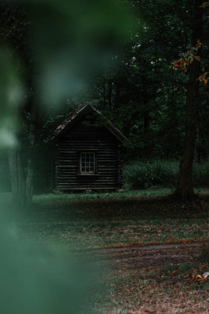 cabana na floresta - denmark house cottage rural scene - fotografias e filmes do acervo