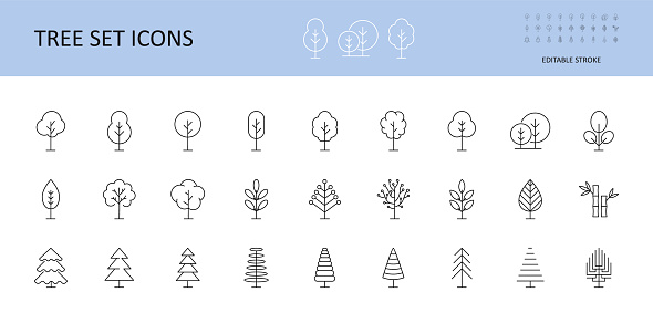 Tree vector set icons. Trees with crown, leaves, Christmas trees. Bushes linear icon editable stroke.
