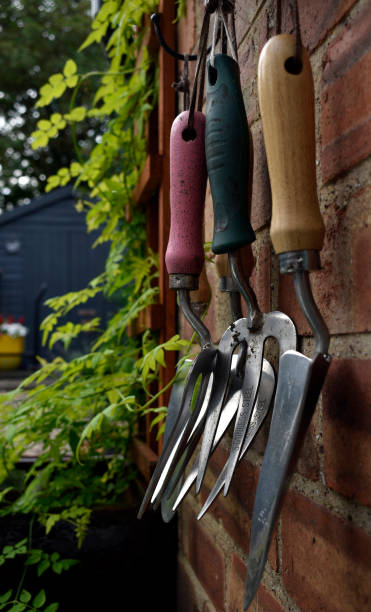 istock Gardeners hand tools hanging on wall. 1270459850