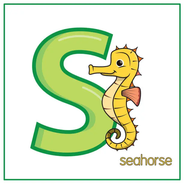 Vector illustration of Vector illustration of a Seahorse standing isolated on white background. With the capital letter S for use as teaching materials Let children get to know the English alphabet.