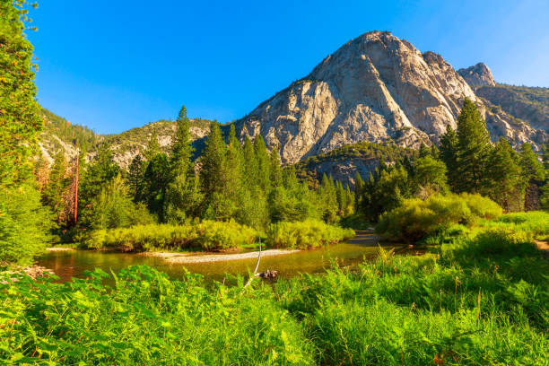 panorama of the californian excursion hike, Zumwalt Meadows hiking in Kings Canyon National Park, a large clearing in the forest with wildflowers and granite cliffs of Grand Sentinel obelisk rock.