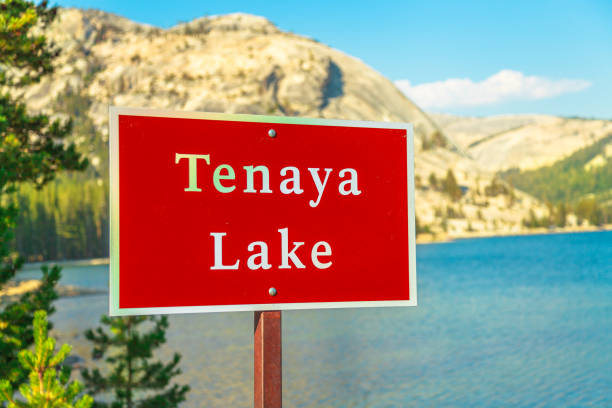 Sierra National Forest sign just out side of Yosemite  in California.