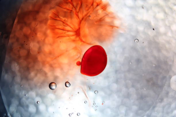 istock blood water oil red dye abstract background with copy space concept 1270463768