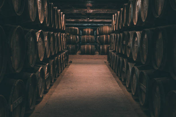 Wine barrels in Cognac, France Rows of wine barrels in Cognac, France. cognac stock pictures, royalty-free photos & images