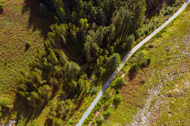 istock The view from a drone looking down on a dirt road that runs besides a pine forest in a remote area of south west Scotland 1270464303