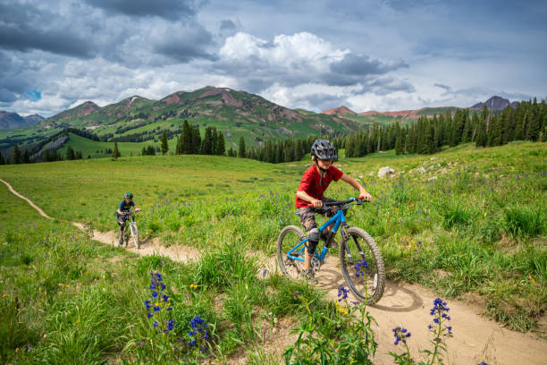 kinder mountainbiking in erstaunlicher schönheit - recreational pursuit mountain biking nature outdoors stock-fotos und bilder