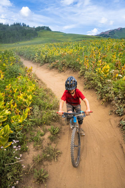 istock Kids Mountain Biking in Amazing Beauty 1270468193