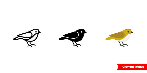 spatz-symbol von 3 arten farbe, schwarz und weiß, umriss. isoliertes vektorzeichensymbol - sperling stock-grafiken, -clipart, -cartoons und -symbole