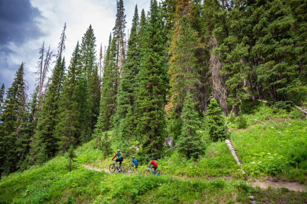 istock Dad Towing The Kids Mountain Biking 1270469621