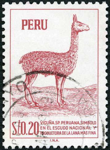 Postage stamp printed in Peru shows Vicuna, 1952