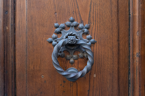 Antique door knocker on wooden door. Vintage, retro background