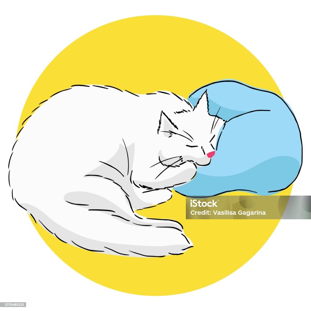 Vẽ Một Con Mèo Ngủ Trắng Dễ Thương Nằm Với Má Trên Gối Hình Minh Họa Màu  Sắc Của Một Con Vật Với Bóng Đơn Giản Trên Nền Màu Vàng Hình Ảnh
