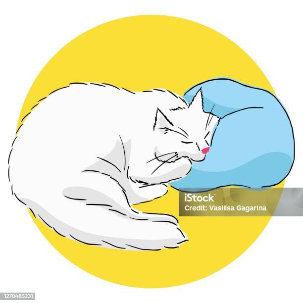 Vẽ Một Con Mèo Ngủ Trắng Dễ Thương Nằm Với Má Trên Gối Hình Minh Họa