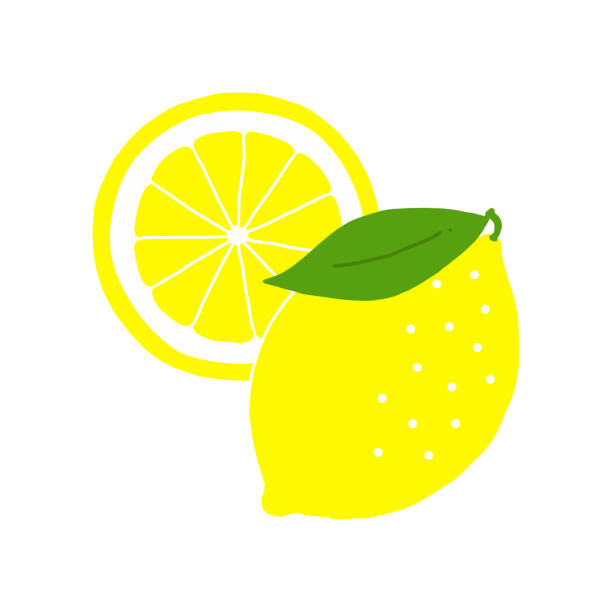 illustrations, cliparts, dessins animés et icônes de graphisme plat de vecteur d’illustration de citron - lemon portion citrus fruit juice