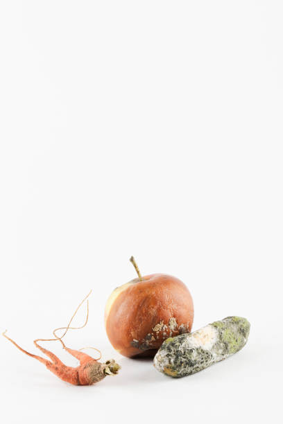 istock rotten apple, cucumber, carrot on white background. global hunger problem. overconsumption concept. 1270485900