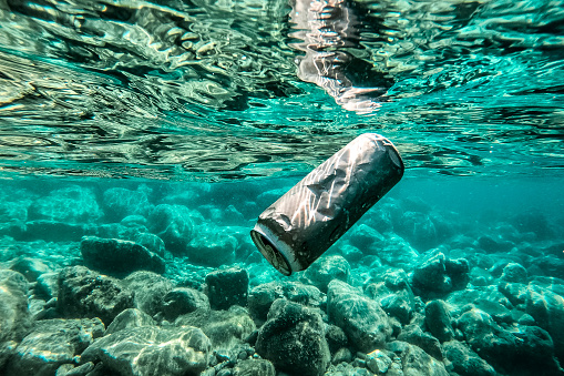 The can floats underwater in the crystal clear waters of the Adriatic Sea