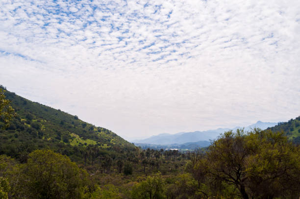 istock Green meadows in a mountainous hiking area 1270486829