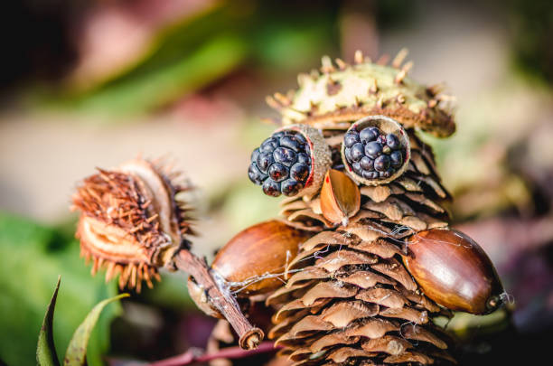 cute figures from autumnal fruits and pine cone in vibrant autumnal colors