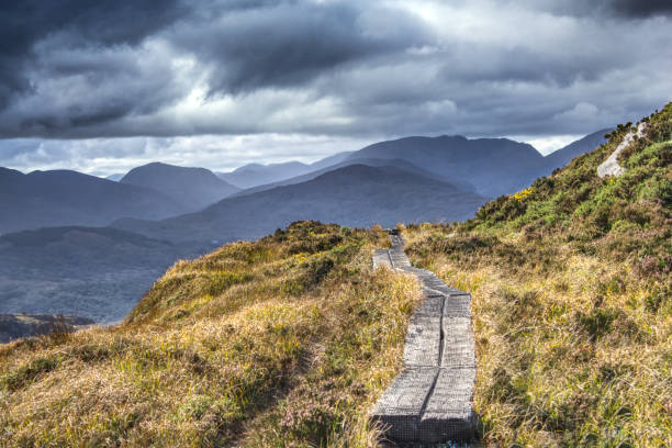 istock Mountain footpath in Ireland 1270495945