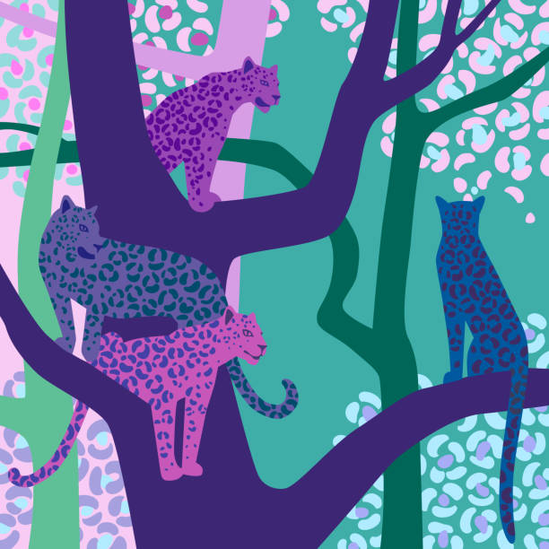 ilustraciones, imágenes clip art, dibujos animados e iconos de stock de ilustración de leopardo. vida silvestre. - tropical rainforest illustrations