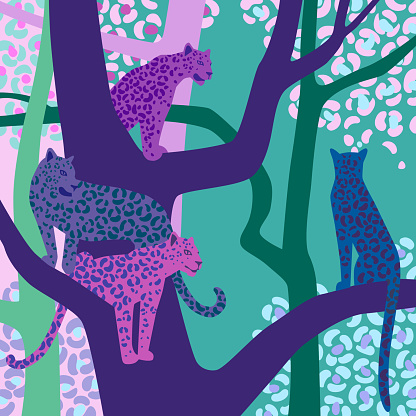 Leopards sit on tree branches. Vector wildlife illustration. Wild animal background in trendy flat cartoon design. Square canvas. Template for scarf, shawl, kerchief, card, poster.