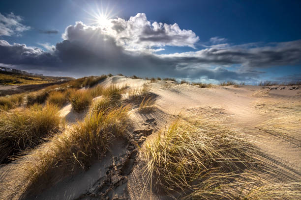 sunlight over sand dunes in summer, Holland stock photo