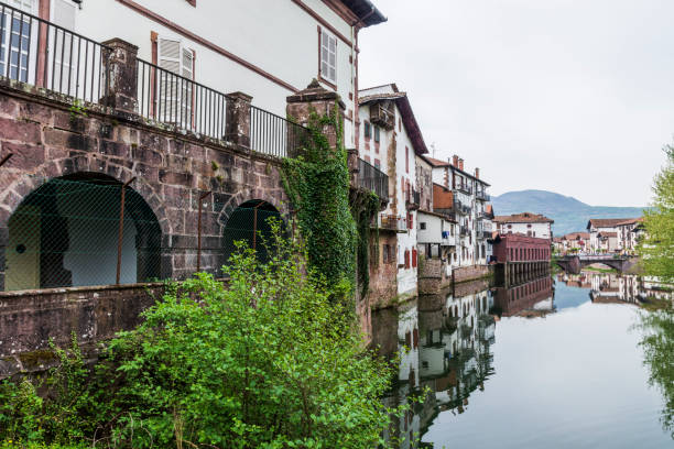 view of the typical houses of the area, the river, a bridge and the vegetation
