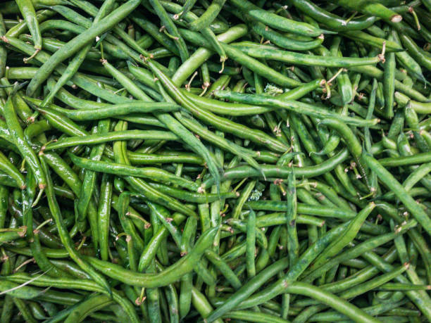 istock Group of green beans 1270501087