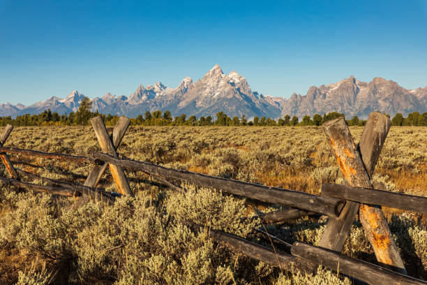 istock Split rail fence frames the view of Teton mountains 1270501114