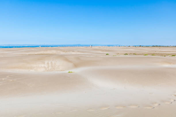 footprints left in the sand on the beach