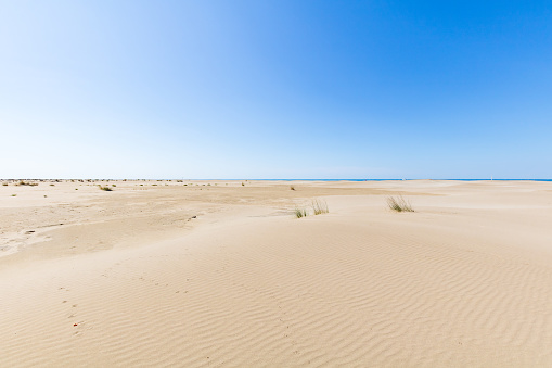 Sand dune landscape at Pointe de l'Espiguette on the Mediterranean coast