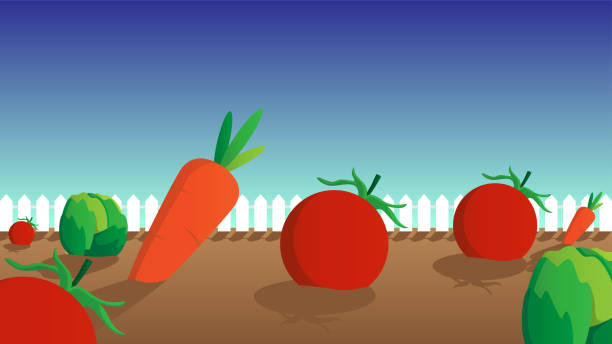 ilustrações de stock, clip art, desenhos animados e ícones de fresh vegetables - agriculture backgrounds cabbage close up