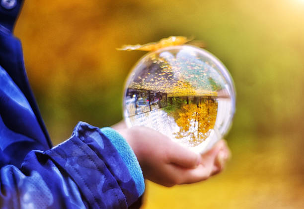 reflection of autumn in a glass bowl