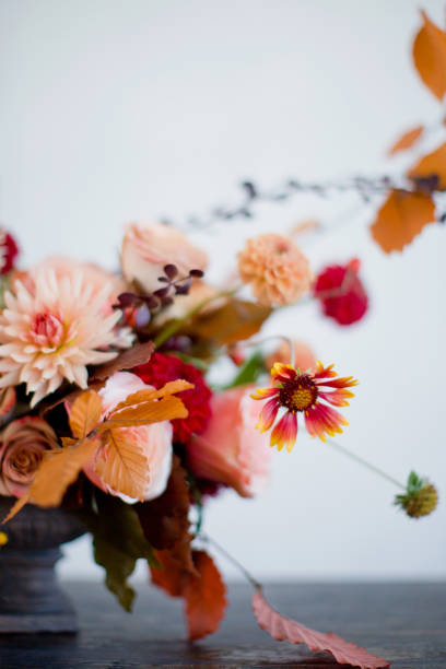 istock Autumn flowers bouquet in vase 1270509087