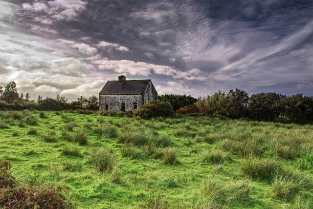 Old isolated and abandoned house in a field in Ireland
